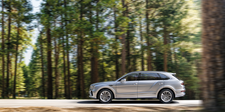 Bentley Hatfield Bentley Bentayga Extended Wheelbase SUV in Moonbeam paint driving dynamically on a forest road